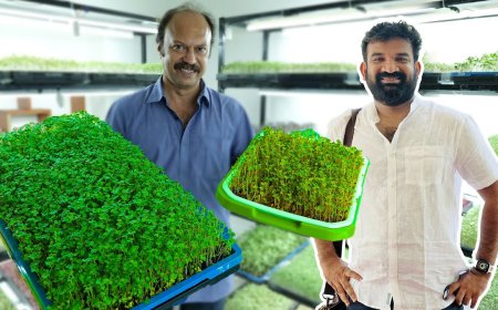 India aces the art of Microgreens Cultivation