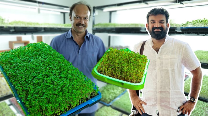 India aces the art of Microgreens Cultivation
