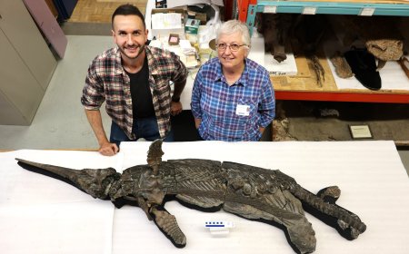 Rare 3D Marine Fossil Unearthed on Britain’s Jurassic Coast