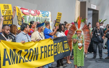 COP30: Igniting a Decade of Climate Action in the Heart of the Amazon