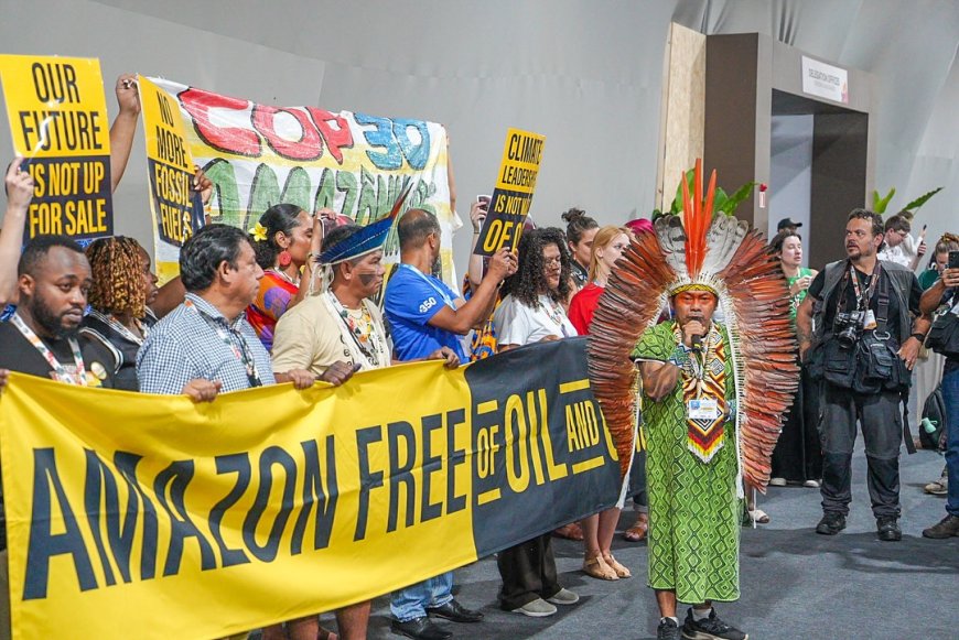 COP30: Igniting a Decade of Climate Action in the Heart of the Amazon