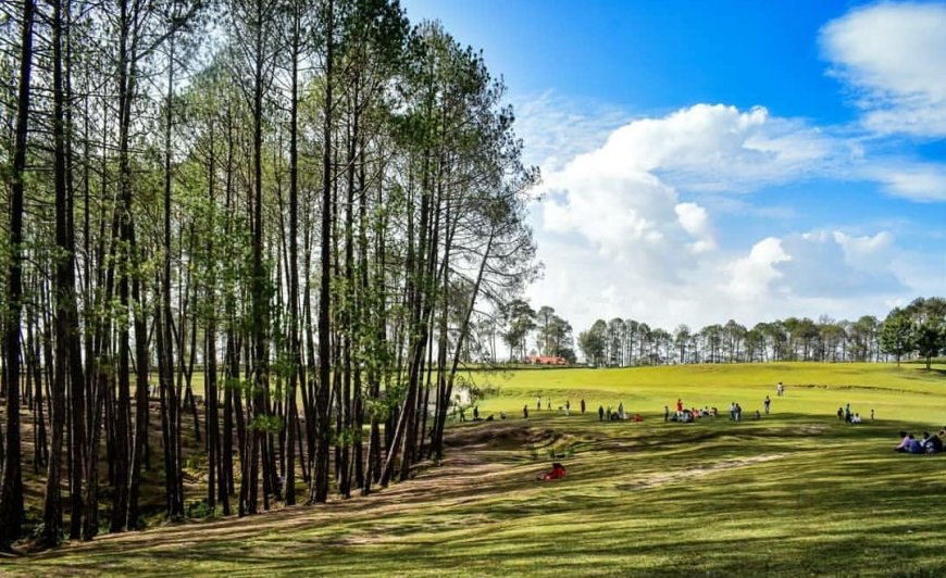 A Winter Escape to Ranikhet: Serenity in the Snow-Kissed Himalayas