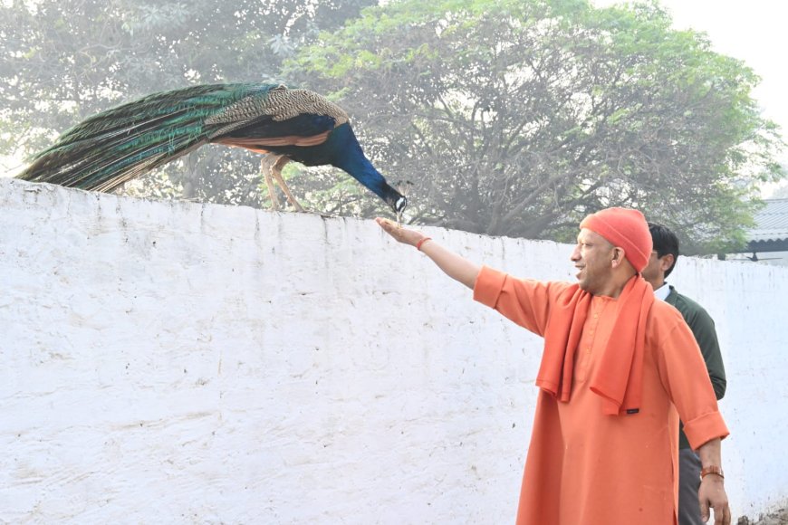 Gorakhpur’s Enduring Charm Lies Beyond Its Busy Streets