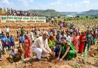 Vriksharopan Mahayagya-2026 becomes a people's movement, Sonbhadra district records the highest plantation