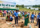Yogi govt's 'Ek Ped Maa Ke Naam' campaign sees the Water Resources Department plant 1.519 million saplings