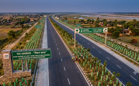 Uttar Pradesh to Plant 2 Crore Trees Along Roadsides Under 'Mission Chhaya', 5.5 Lakh Saplings on Ganga Expressway