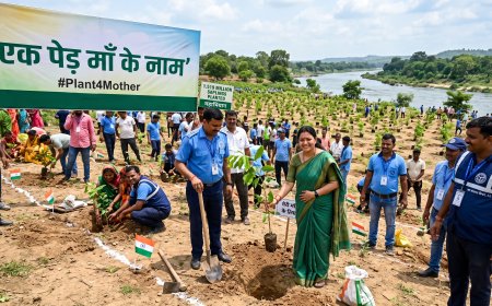 Yogi govt's 'Ek Ped Maa Ke Naam' campaign sees the Water Resources Department plant 1.519 million saplings