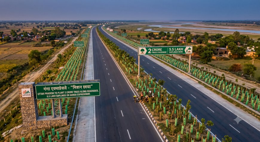 Uttar Pradesh to Plant 2 Crore Trees Along Roadsides Under 'Mission Chhaya', 5.5 Lakh Saplings on Ganga Expressway